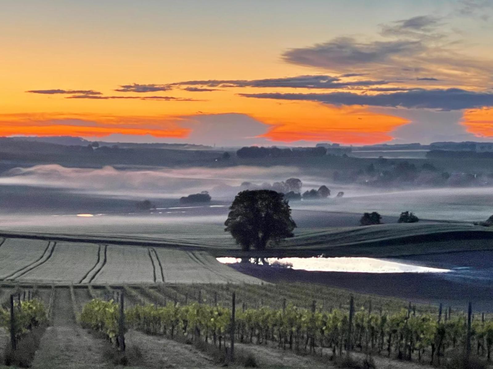 Paradis Des Vignes Birac  客房 照片