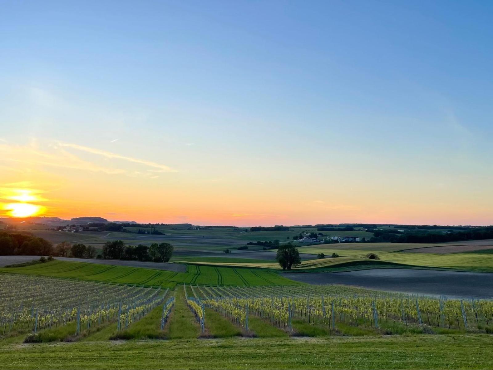 Paradis Des Vignes Birac  客房 照片