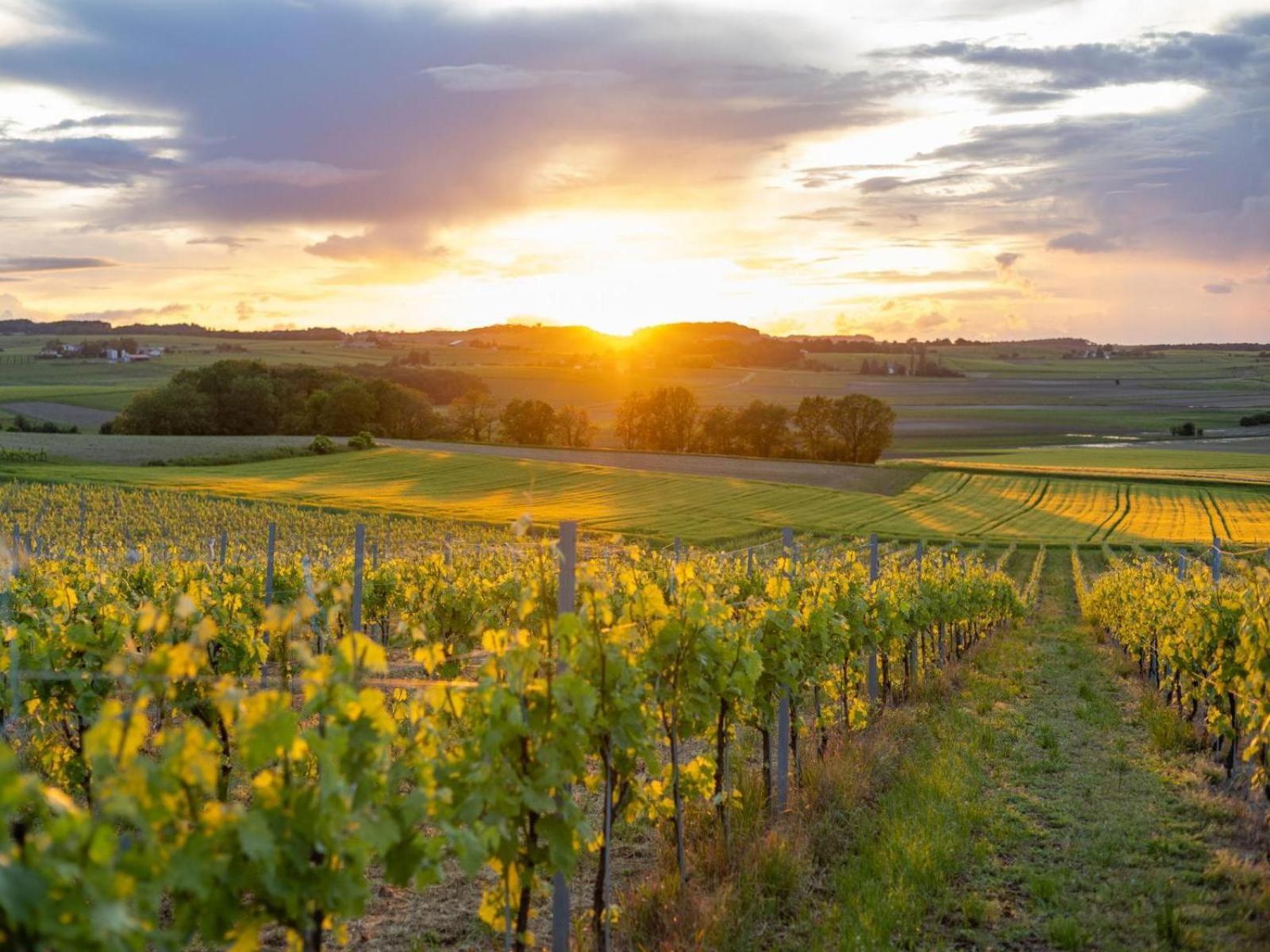 Paradis Des Vignes Birac  客房 照片